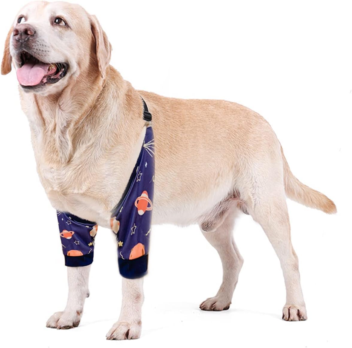 Protective Sleeve for Dog Surgery Recovery – Front Leg & Elbow Support image 3