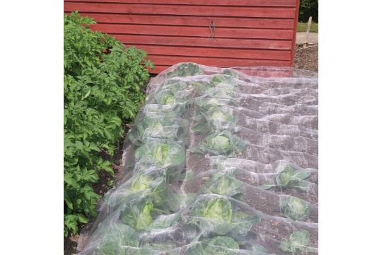 Garden Netting Insect Mesh 3.6 X 3M RRP £21 image 0