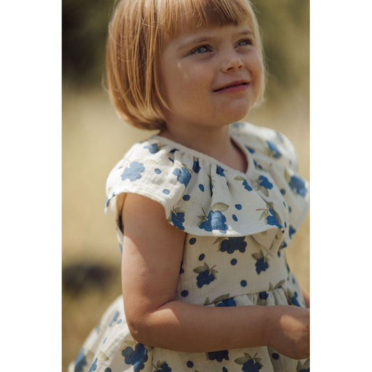 Organic Blueberry Frill Dress image 0