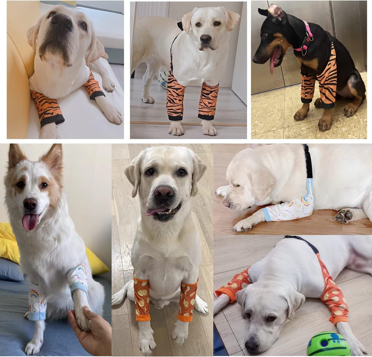 Protective Sleeve for Dog Surgery Recovery – Front Leg & Elbow Support image 4