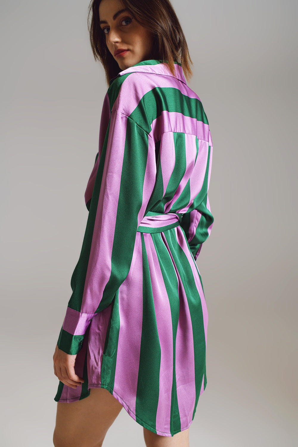 Short Shirt Dress in Lilac and Green Stripe image 1
