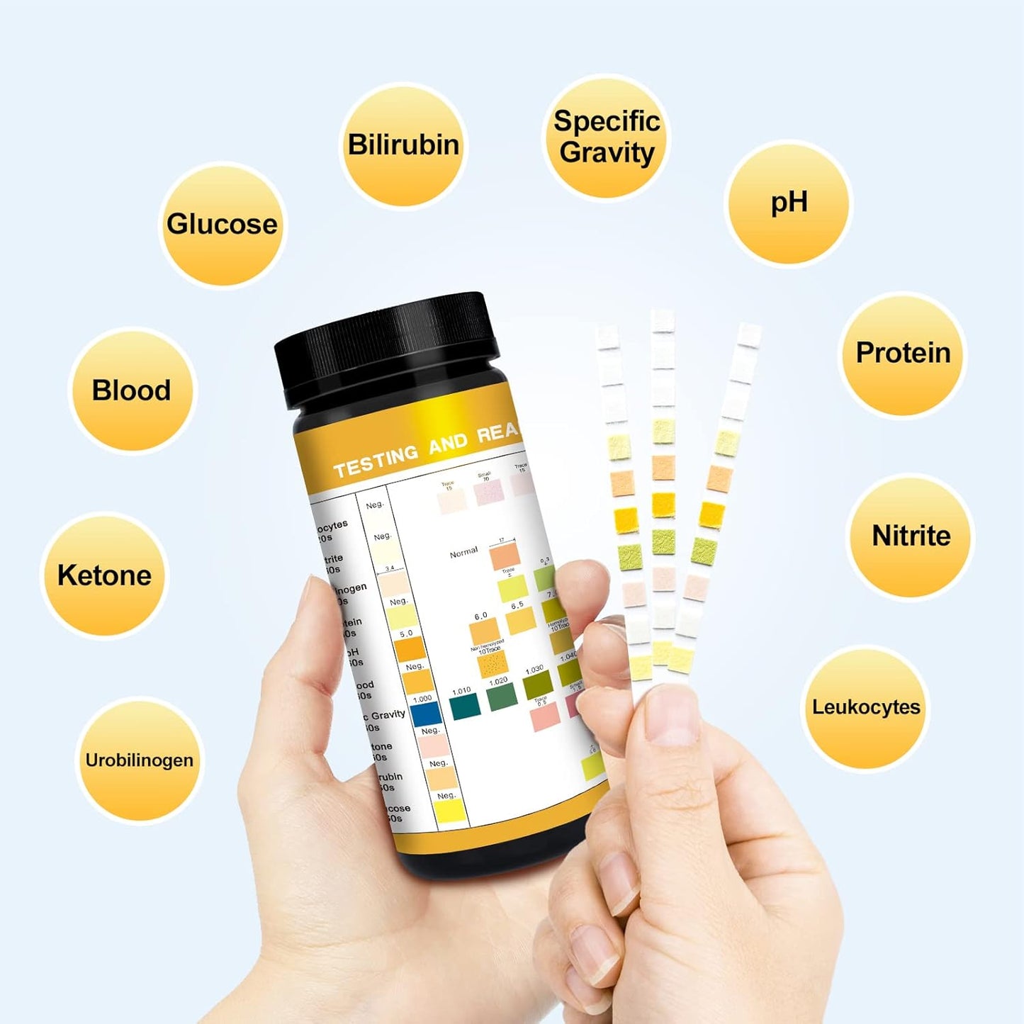 Vet Pet Urine Test Strips: Easy@Home 10 Parameters Animal Urinalysis Reagent image 3