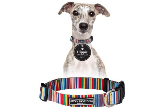 [Pack of 2] 13" - 21" Lucky Love Cute Dog Collar - Colorful Stripes image 0