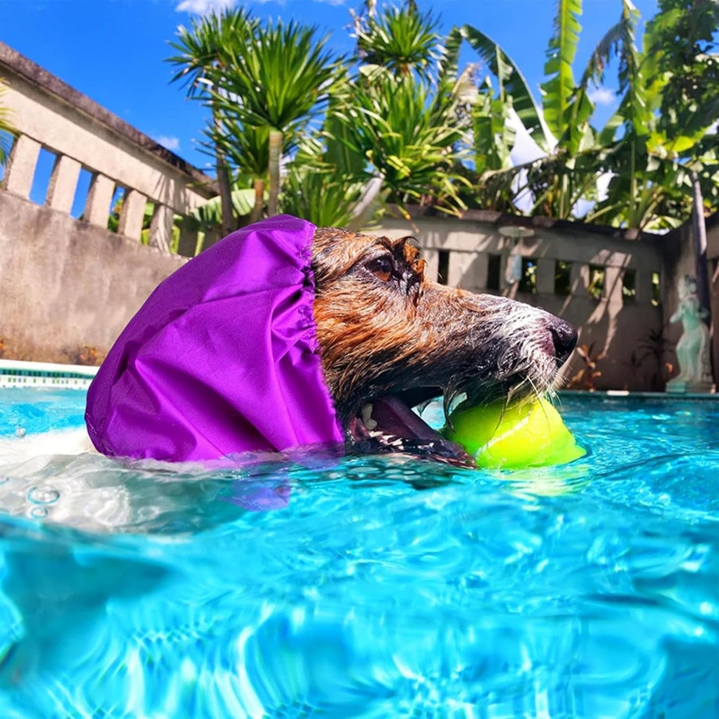 Waterproof Dog Snood Hat: Ear Protection for Baths, Swims, Outdoor Adventures image 3