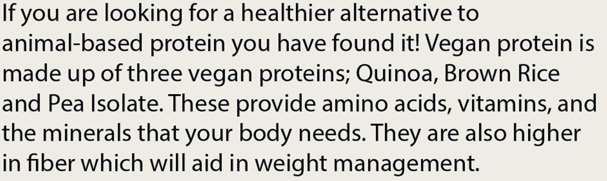 Pure Plant Protein Vanilla image 4