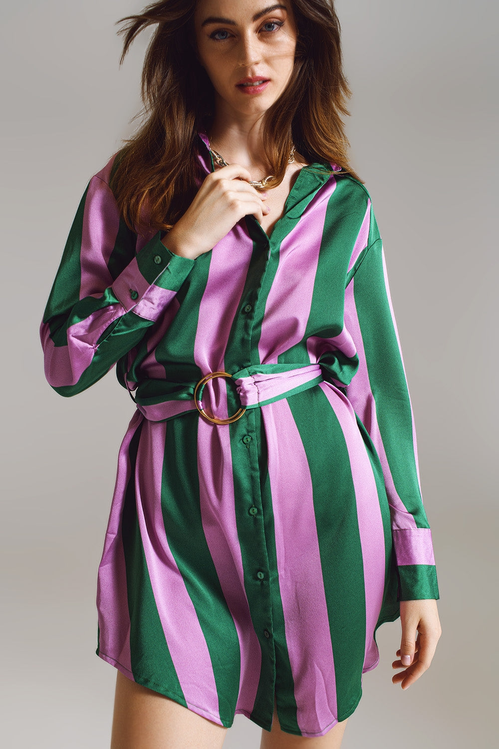 Short Shirt Dress in Lilac and Green Stripe image 3