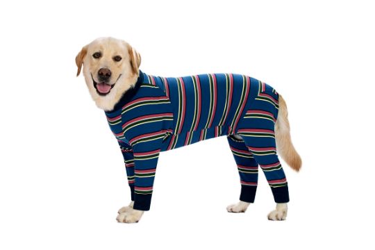 Axcimond Dog Recovery Suit image 0