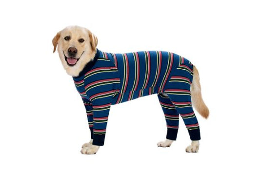 Axcimond Dog Recovery Suit image 0