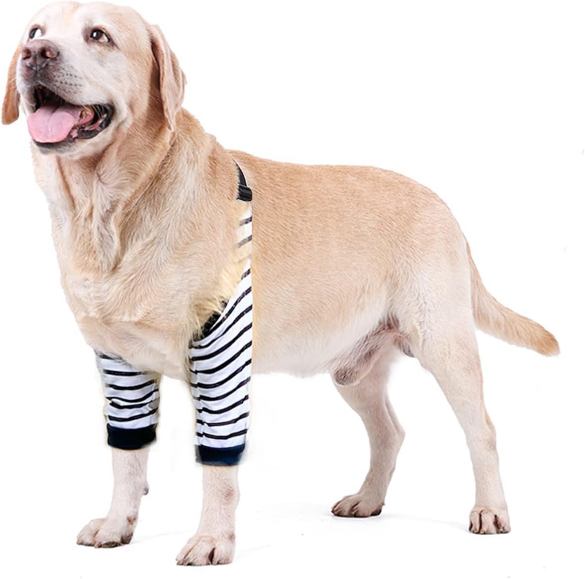 Protective Sleeve for Dog Surgery Recovery – Front Leg & Elbow Support image 0