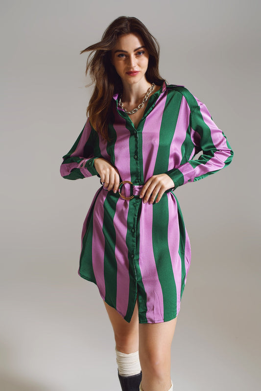 Short Shirt Dress in Lilac and Green Stripe image 0