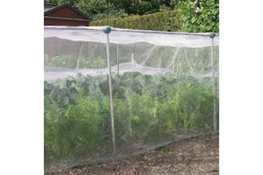 Garden Netting Insect Mesh 3.6 X 3M RRP £21 image 1